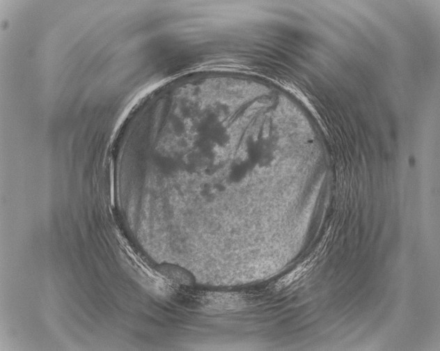 X0000058761123200510211651