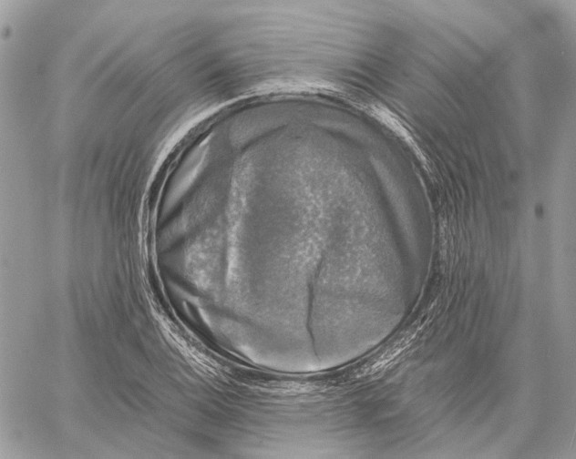 X0000058761124200510211651