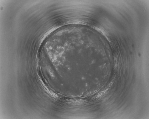 X0000058761125200510211651