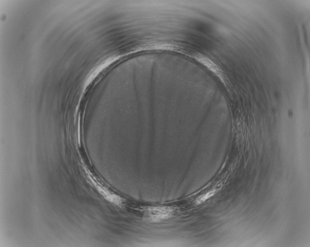 X0000058761127200510211651