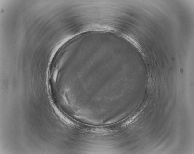 X0000058761128200510211651