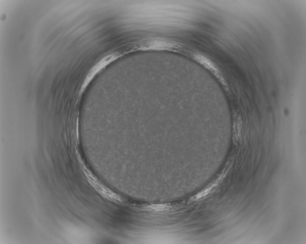 X0000058761130200510211651