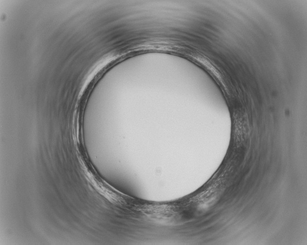 X0000058761131200510211651