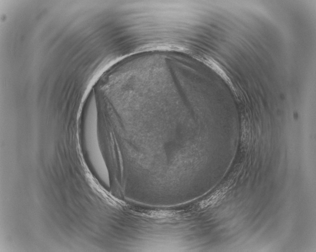 X0000058761132200510211651