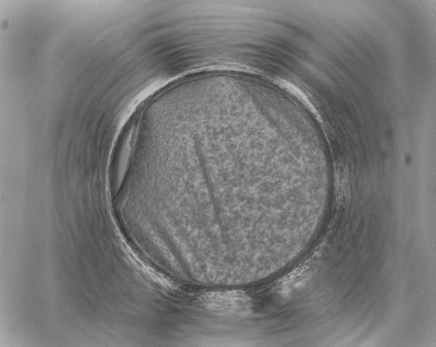 X0000058761133200510211651