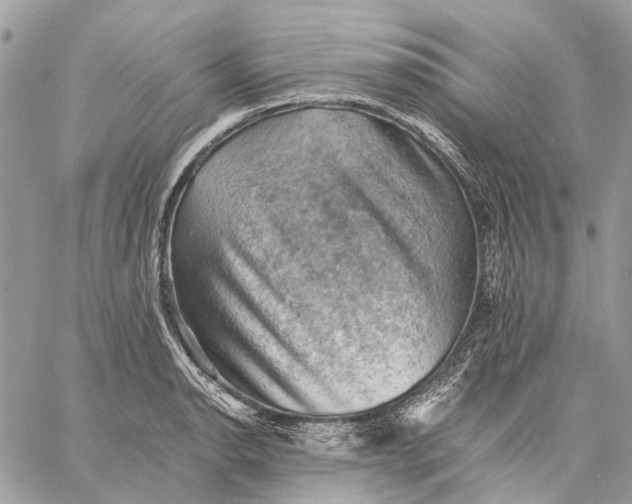 X0000058761134200510211651