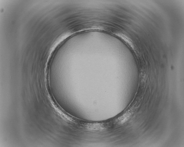 X0000058761135200510211651