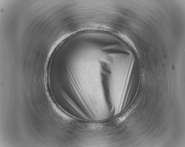 X0000058761136200510211651