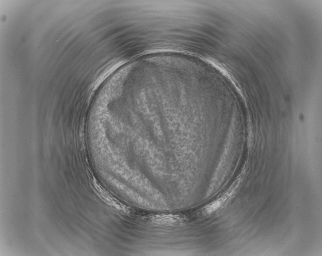 X0000058761137200510211651