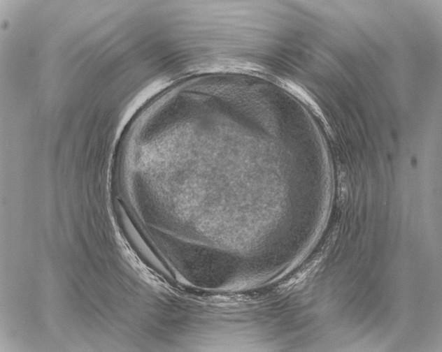 X0000058761138200510211651