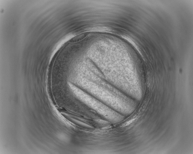 X0000058761139200510211651