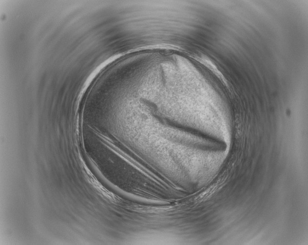 X0000058761140200510211651