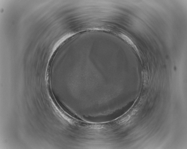 X0000058761141200510211651