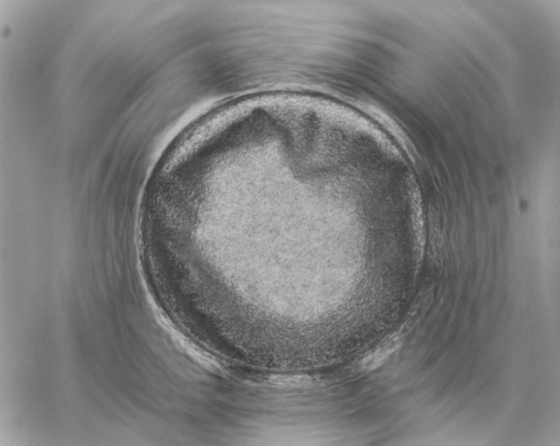 X0000058761142200510211651