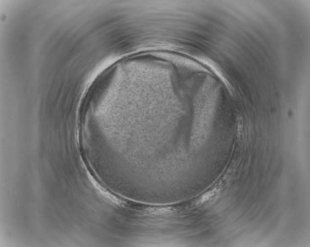 X0000058761143200510211651