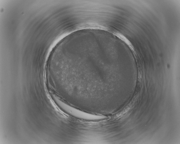 X0000058761144200510211651