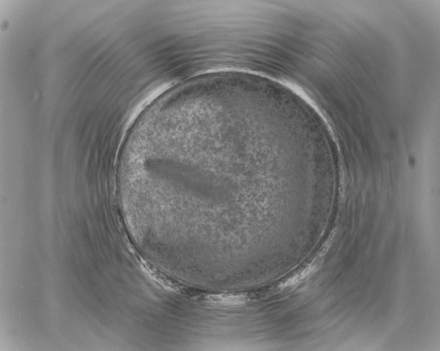 X0000058761145200510211651