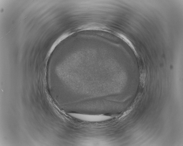 X0000058761146200510211651