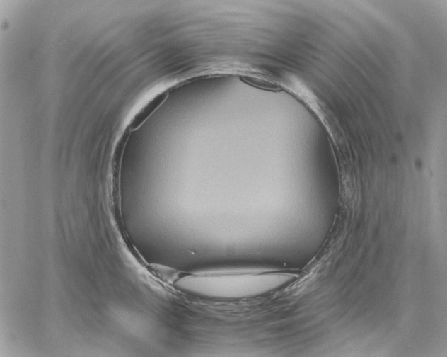 X0000058761147200510211651