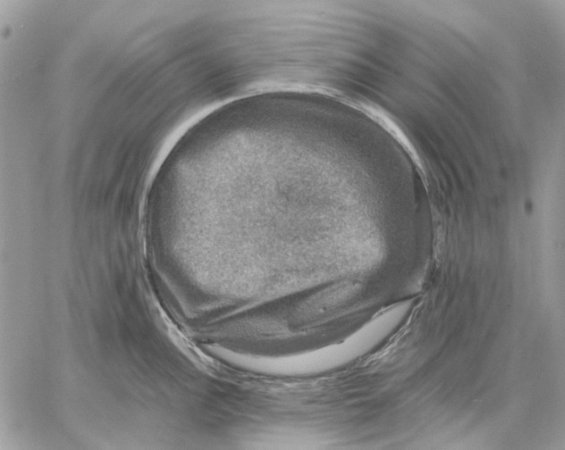 X0000058761148200510211651