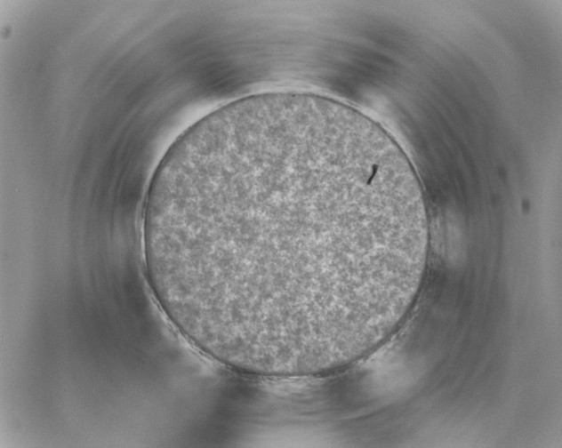 X0000058761150200510211651