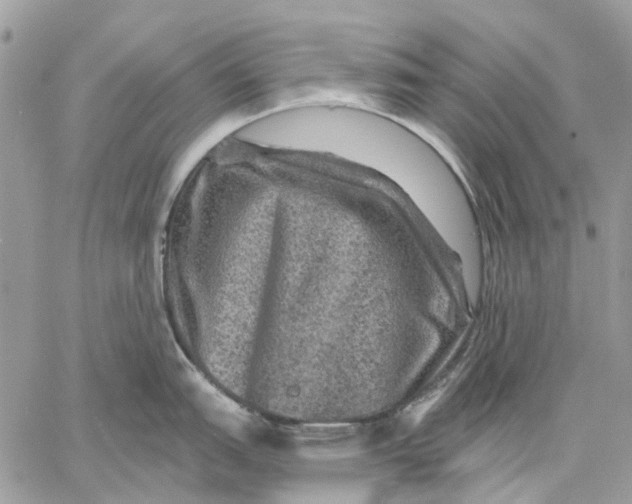 X0000058761151200510211651