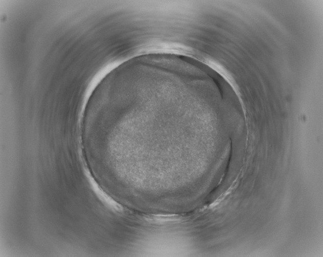 X0000058761152200510211651