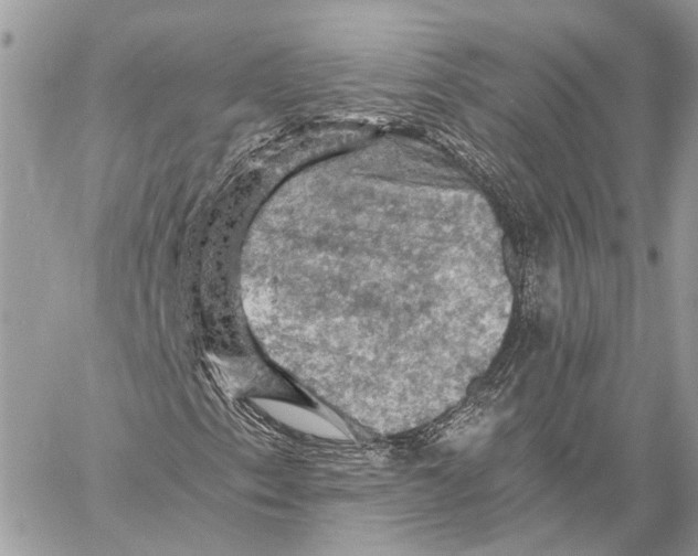 X0000058761153200510211650