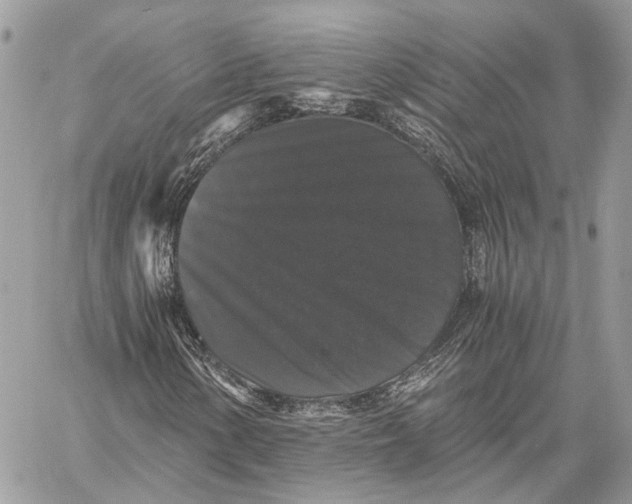 X0000058761154200510211650