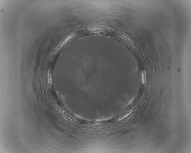 X0000058761155200510211650