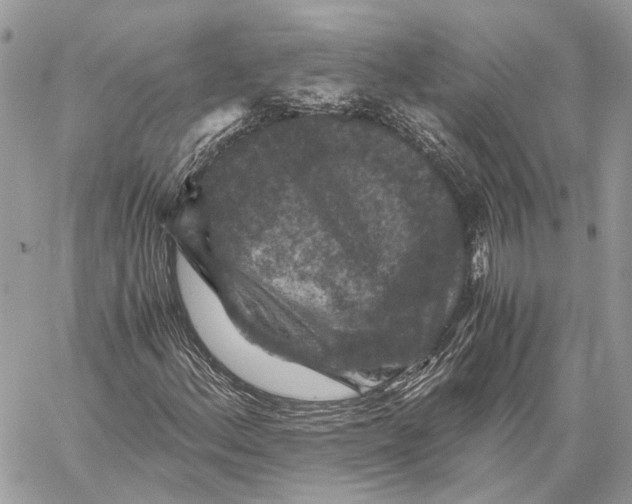 X0000058761156200510211650