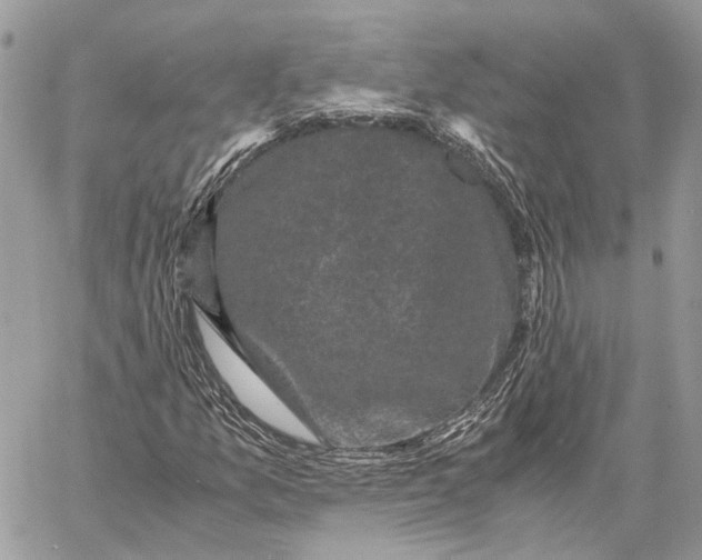 X0000058761157200510211650