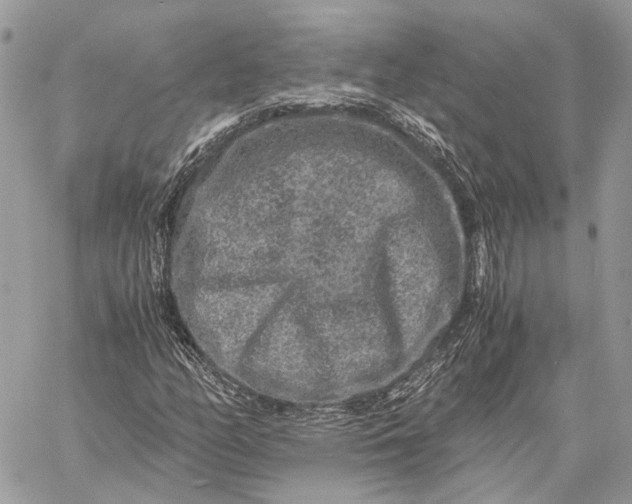 X0000058761158200510211650