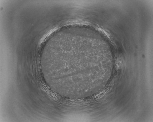 X0000058761159200510211650