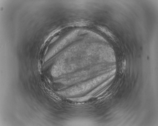 X0000058761160200510211650