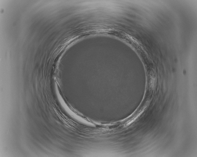 X0000058761161200510211650