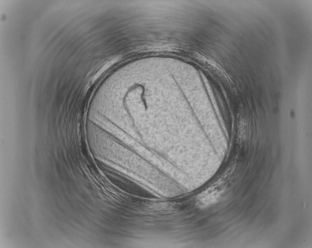 X0000058761162200510211650