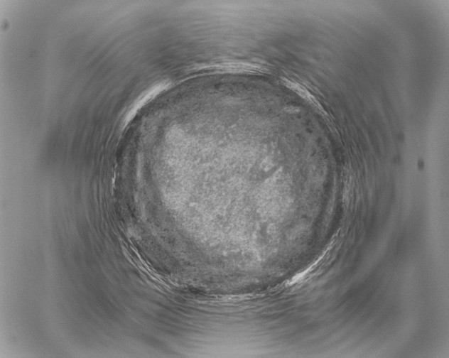 X0000058761163200510211650