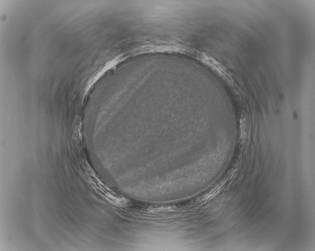 X0000058761165200510211650