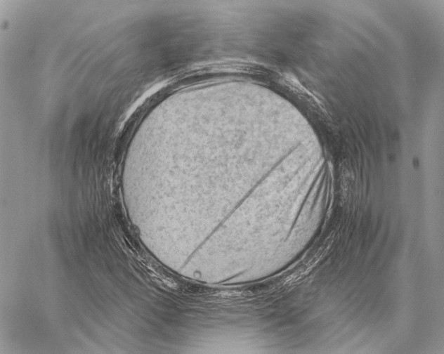 X0000058761166200510211650