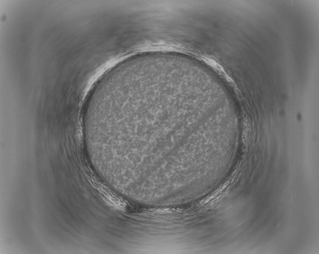 X0000058761167200510211650