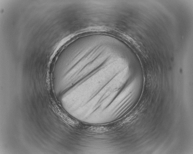 X0000058761168200510211650