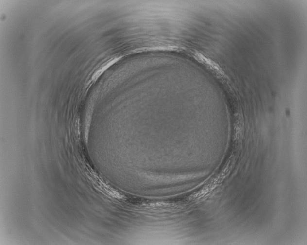 X0000058761169200510211650