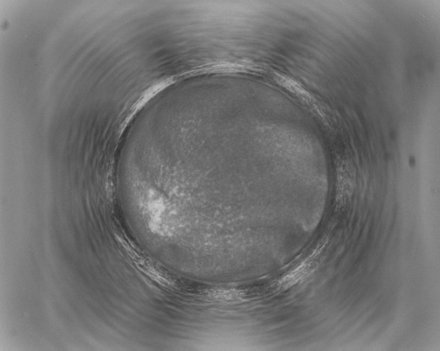 X0000058761170200510211650