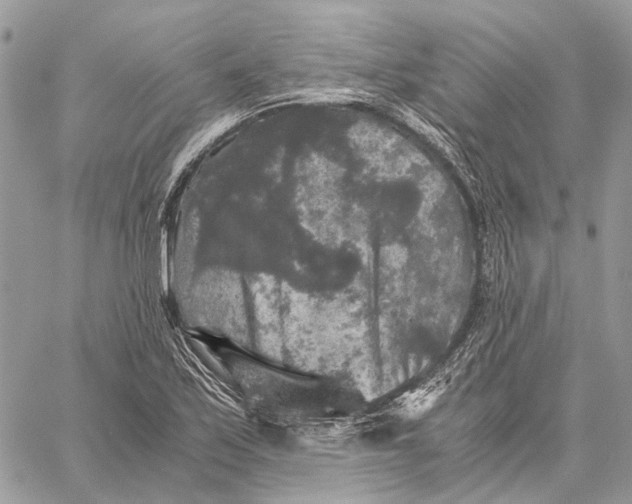 X0000058761171200510211650