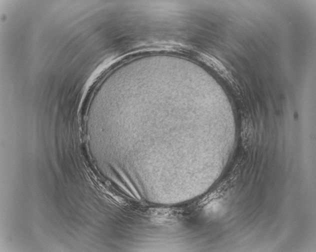 X0000058761172200510211650