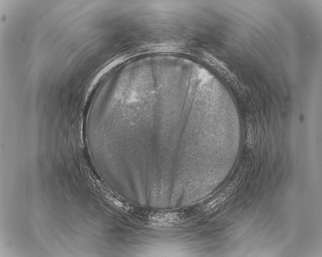 X0000058761174200510211650