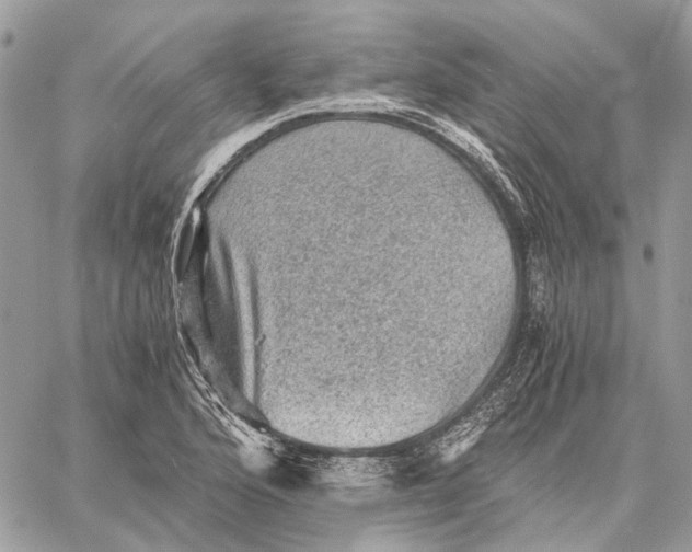 X0000058761176200510211650