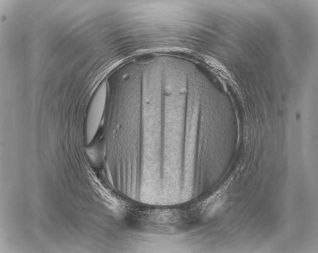 X0000058761177200510211650