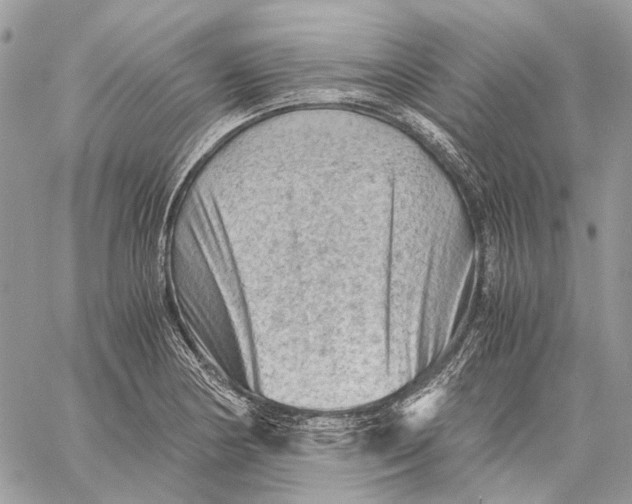 X0000058761178200510211650